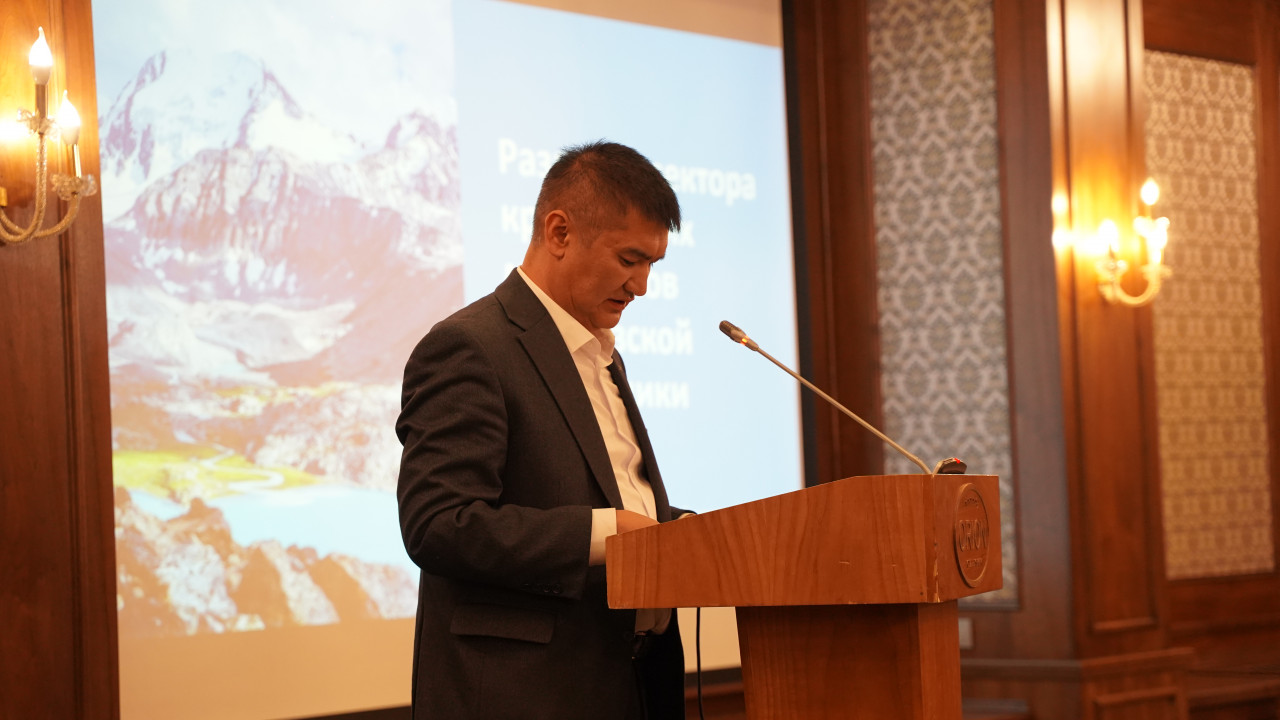 В Бишкеке обсудили прозрачность и будущее горнодобывающей отрасли Кыргызстана